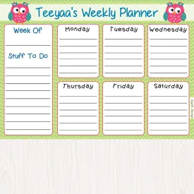 Activity Planner - Owls, Set of 50